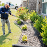 Looking For Pest Control In Bentonville, AR? Ask These Questions First